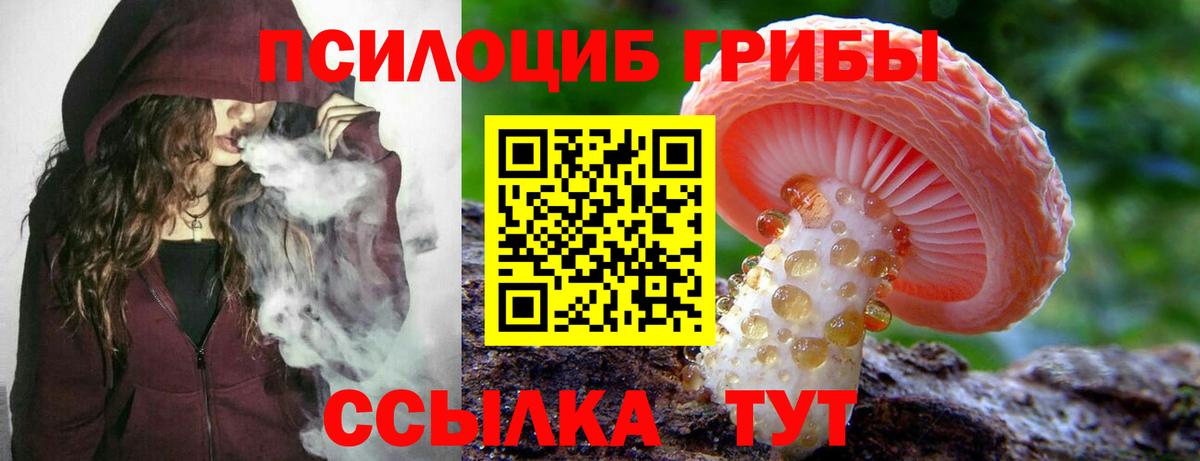 Галлюциногенные грибы ЛСД  Вход с VPN  Ессентуки 