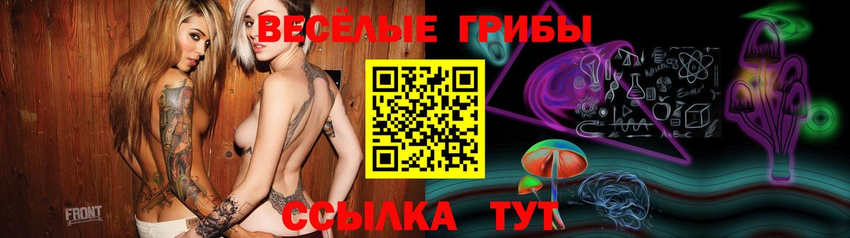 Псилоцибиновые грибы GOLDEN TEACHER Ессентуки